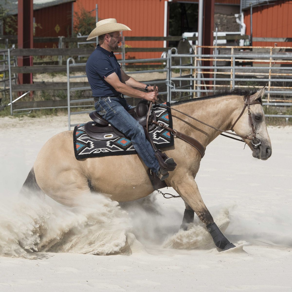 Selle Westride by Franck Perret - Arvada