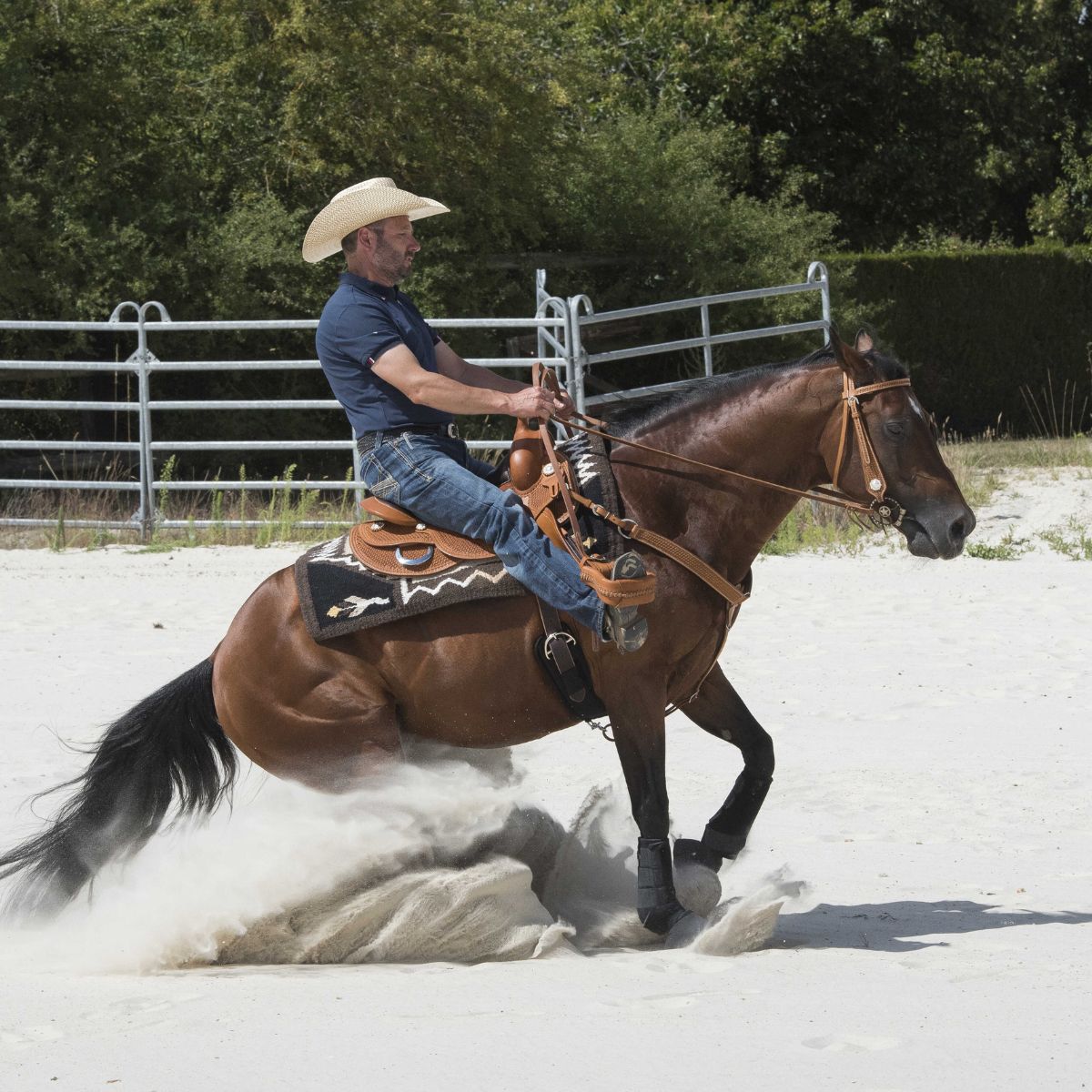 Selle western - Westride by Franck Perret Aurora