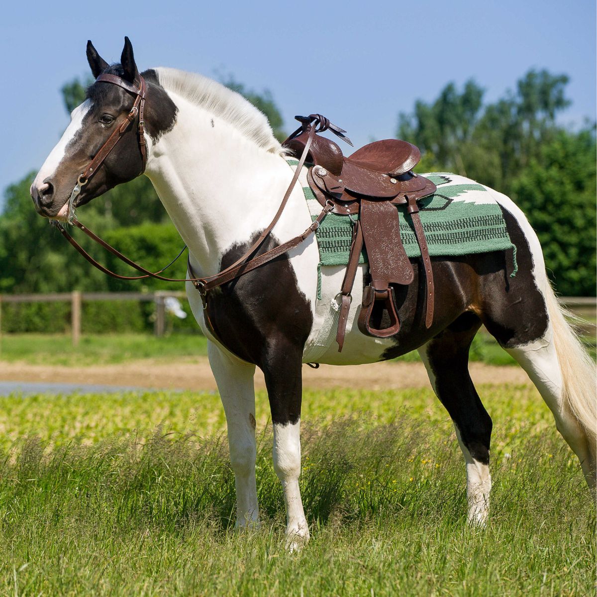 Selle western Westride - Topeka