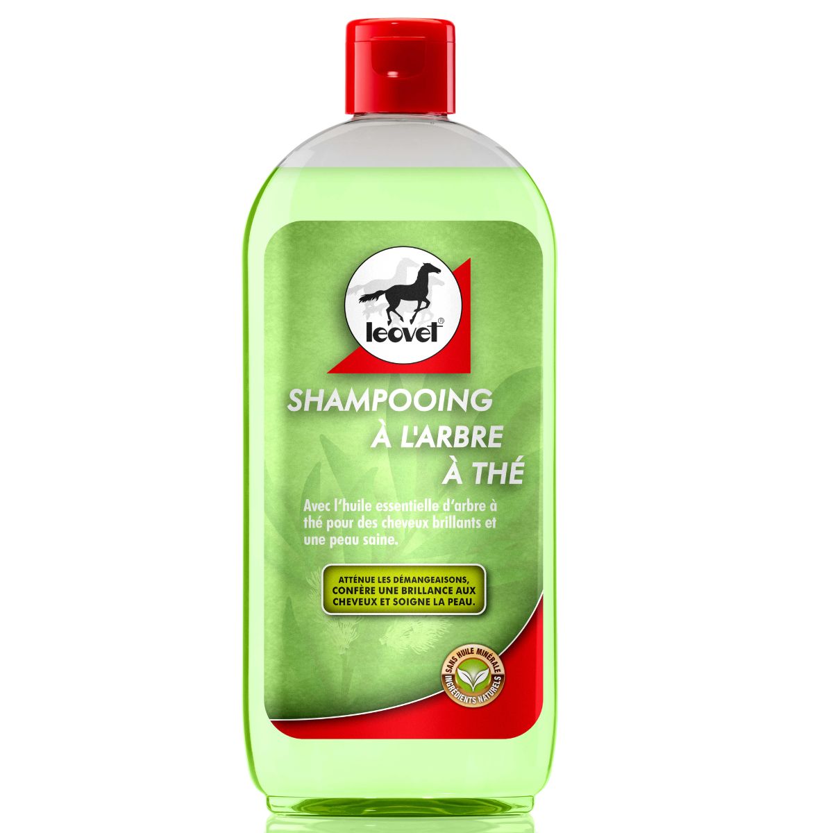 Shampoing-anti-demangeaison-LEOVET-Arbre-a-The