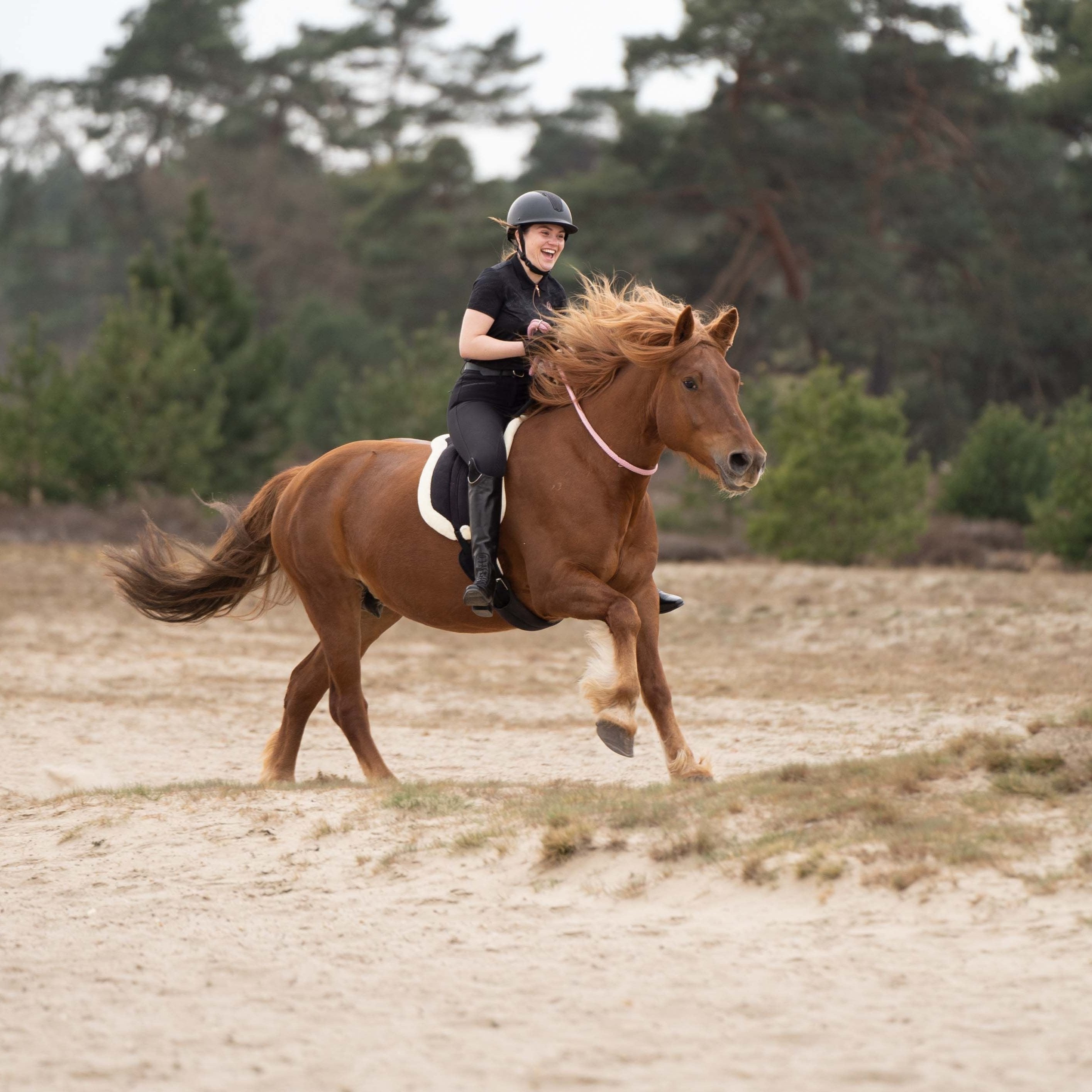 Tapis de monte à cru Imperial Riding