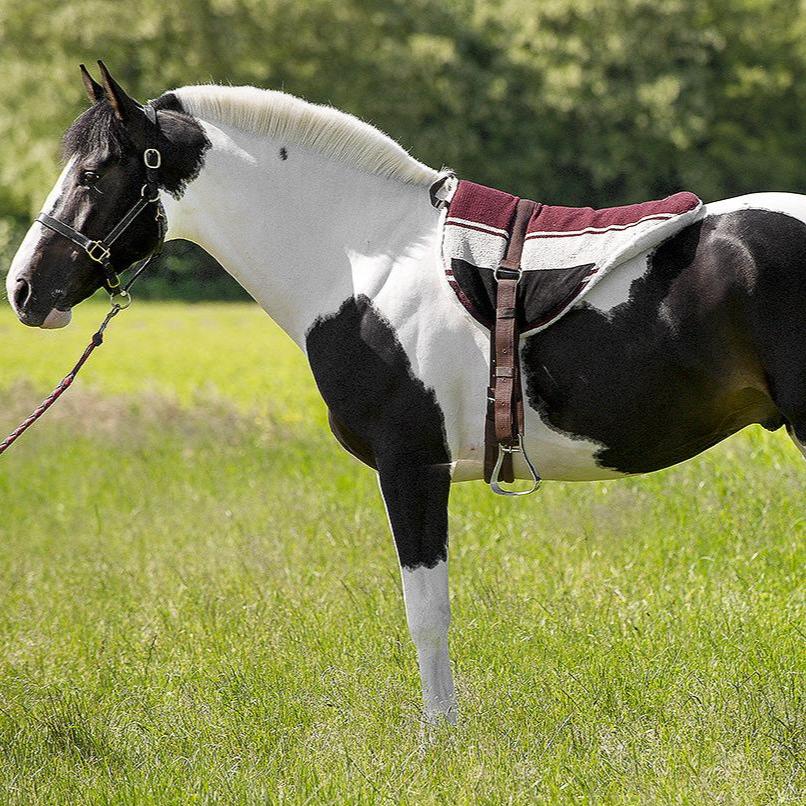 Tapis de monte à cru Norton