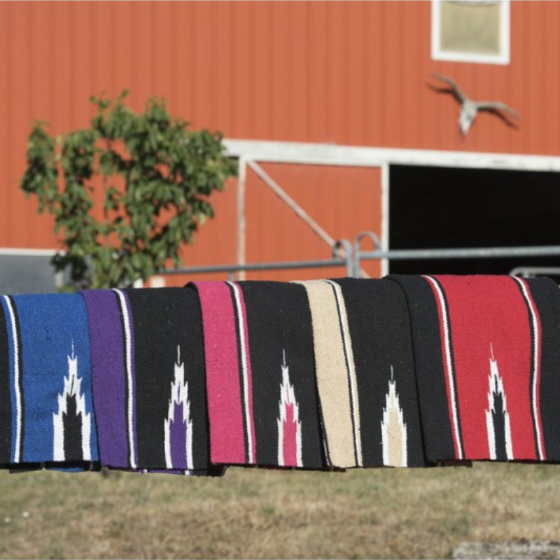 Tapis navajo WESTRIDE coloré