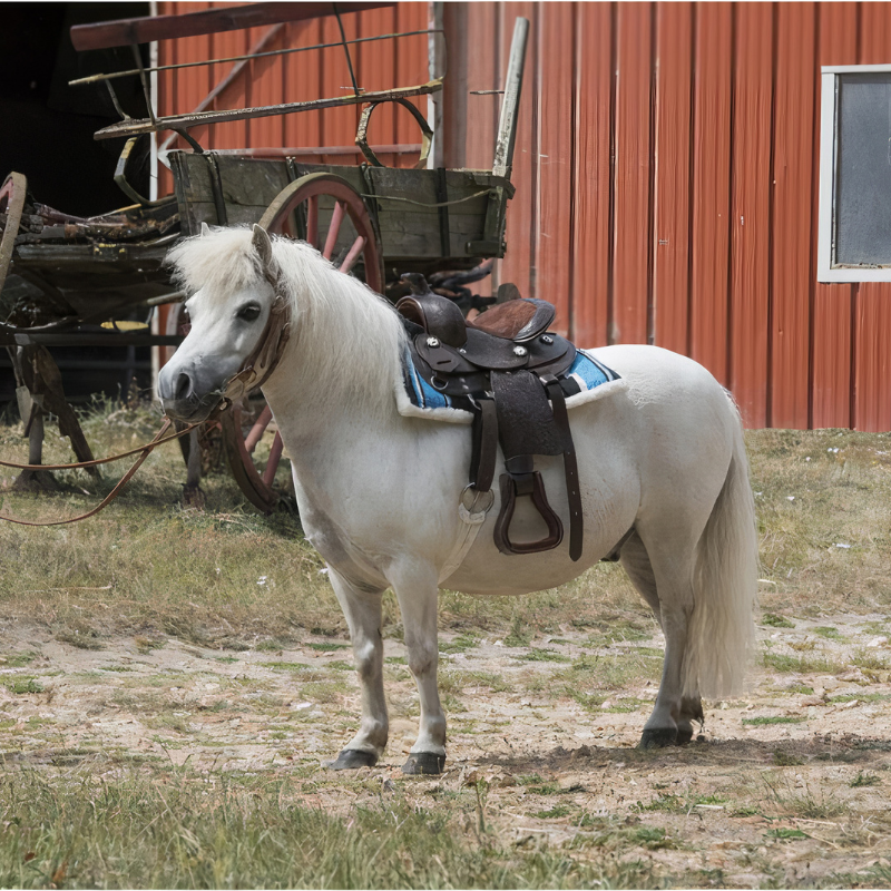 Tapis navajo poney matelassé
