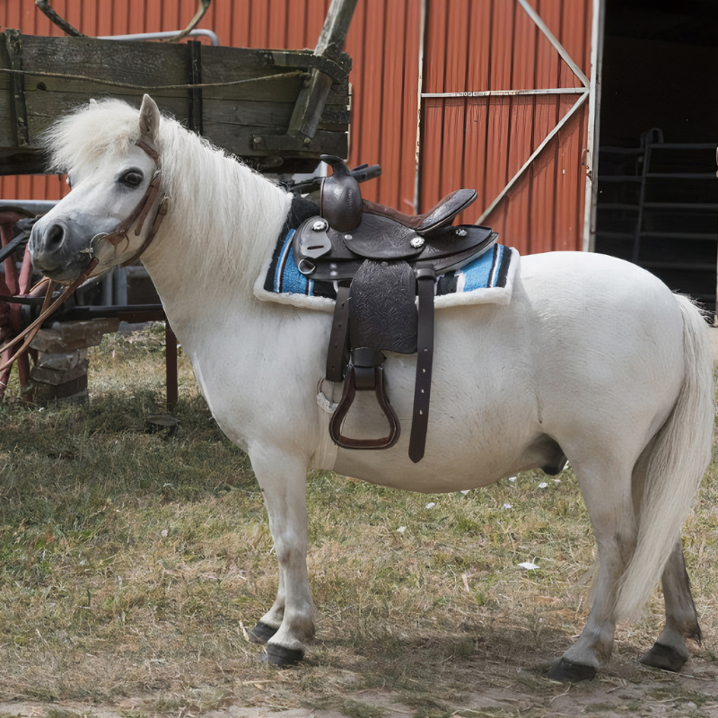 Tapis navajo poney matelassé