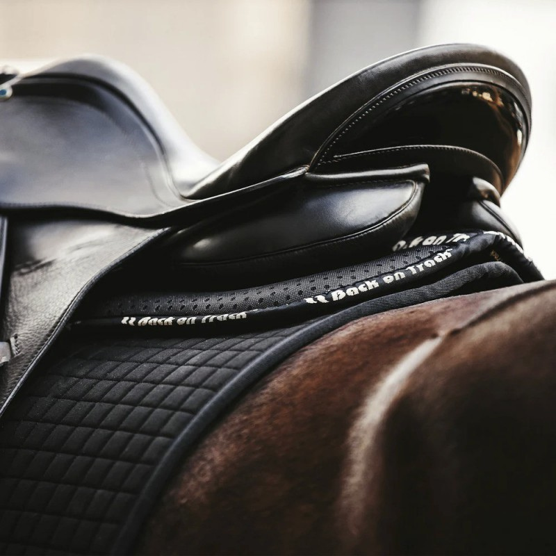 Amortisseur de dos BACK ON TRACK® - Aurora