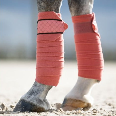 Bandes polaires pour poneys et chevaux HKM Rosewood rose