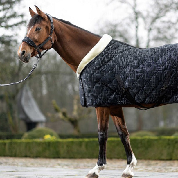 Chemise séchante pour poneys et chevaux HKM Port Royal noir