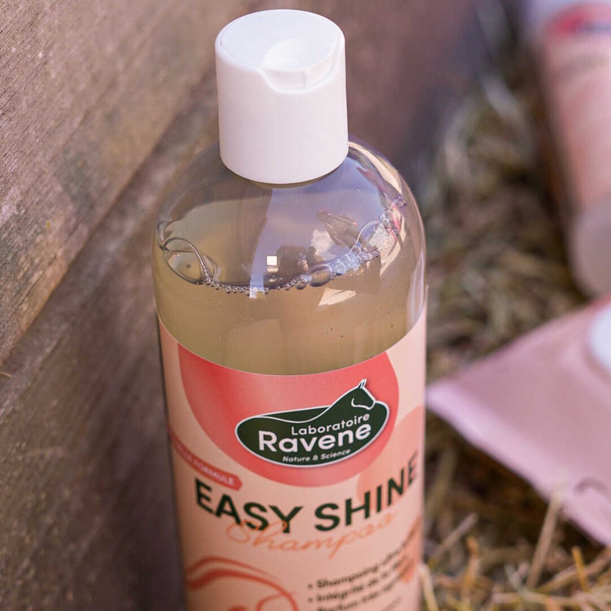 easy-shine-shampoo-ravene-1