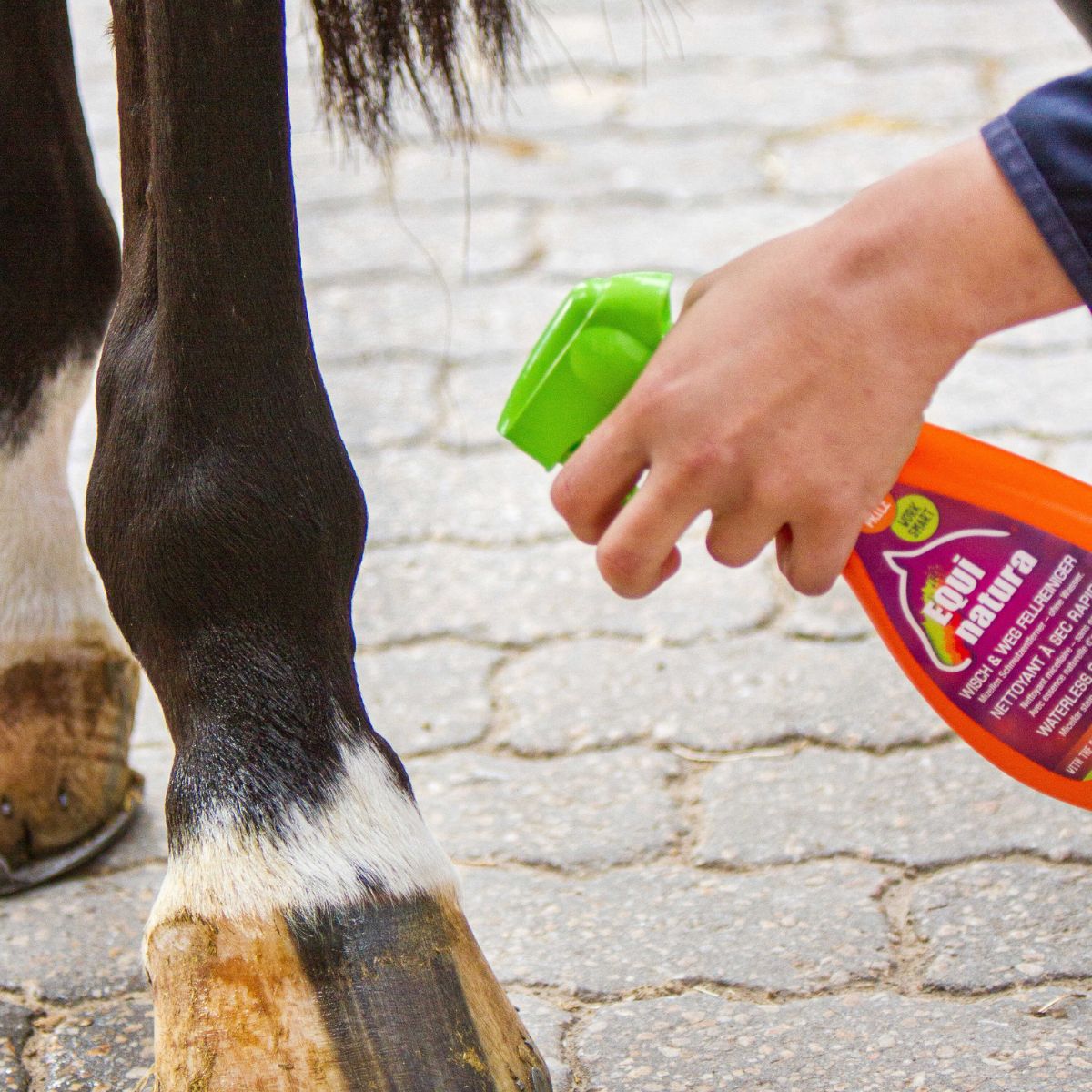 nettoyant-pelage-express-equinatura-3