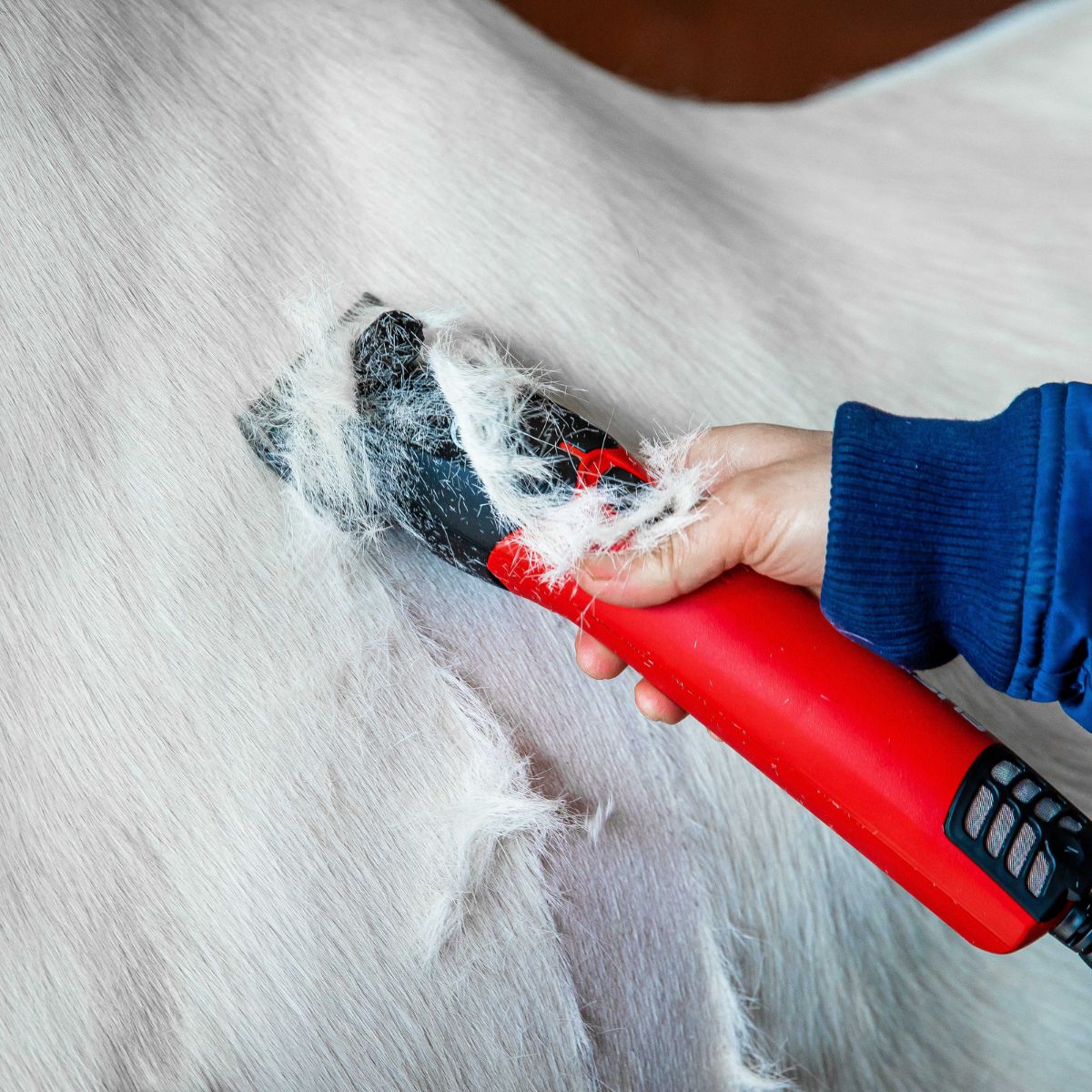 tondeuse-lister-fusion-rouge-equin-1
