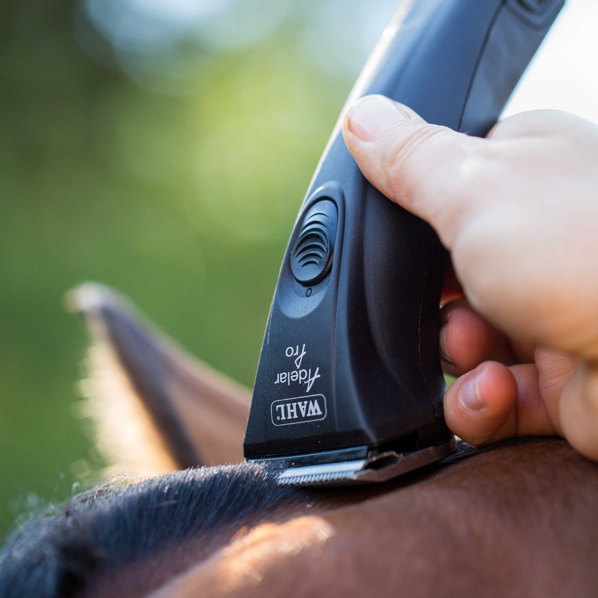 tondeuse-wahl-adelar-pro-1