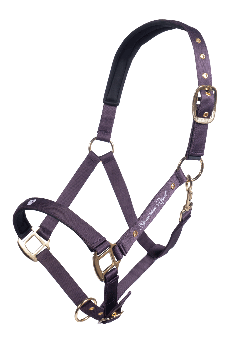 Licol pour poneys et chevaux HKM Lavender Bay violet