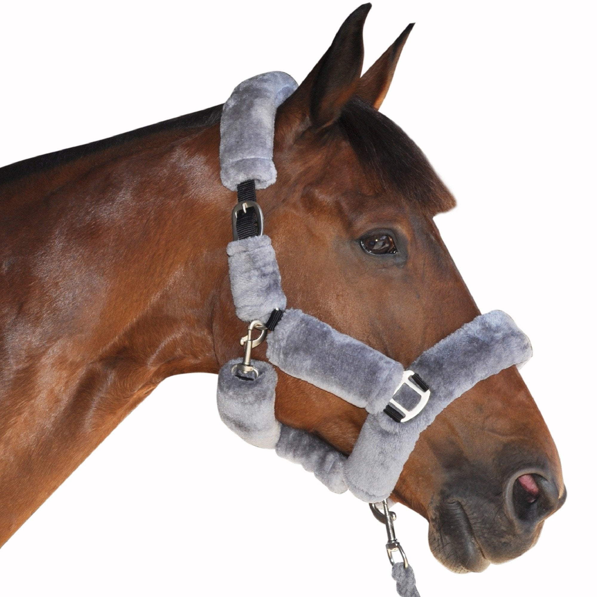 Licol de transport pour poneys et chevaux Canter intégralement doublé de mouton synthétique gris