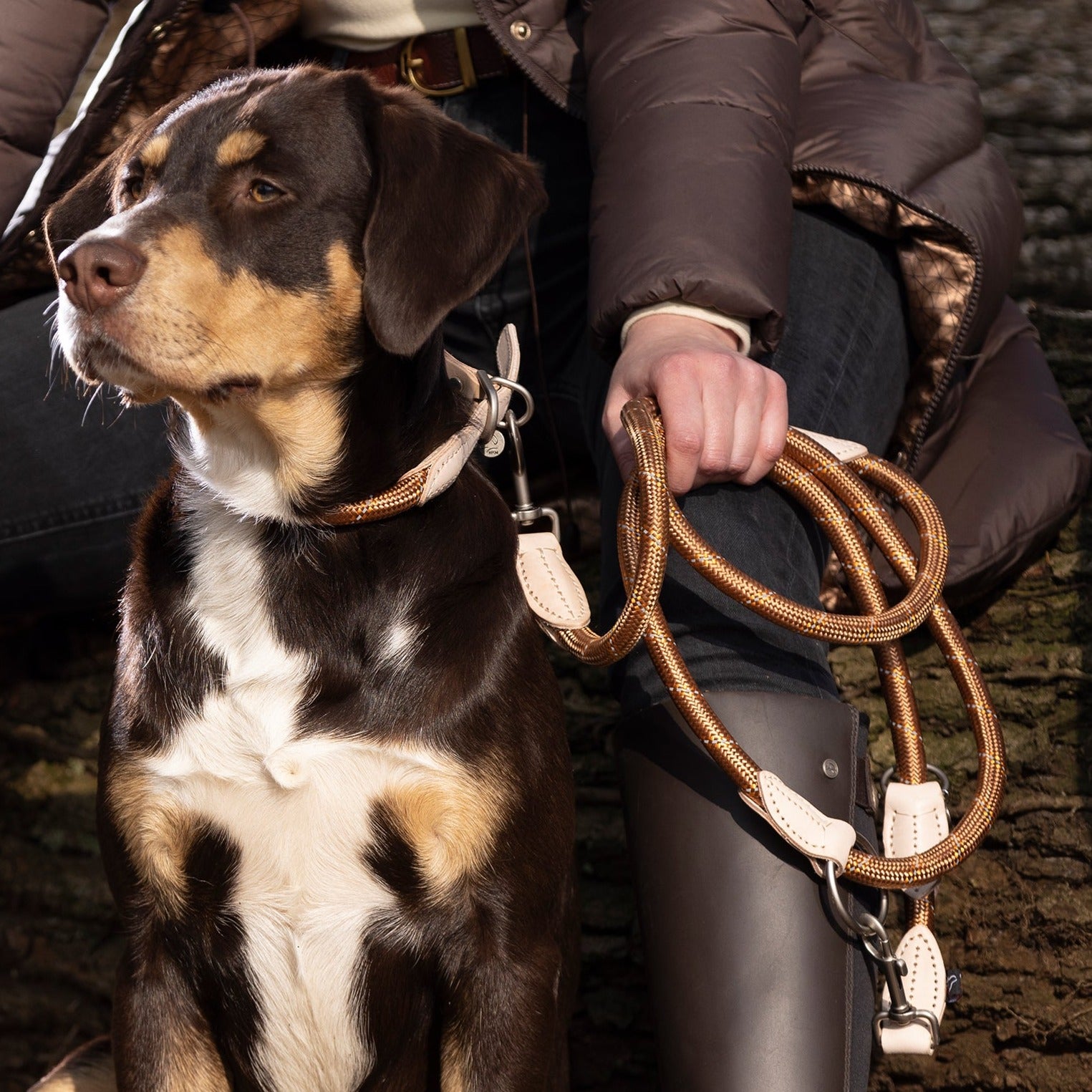 Laisse pour chiens HKM Anam Cara Corde marron