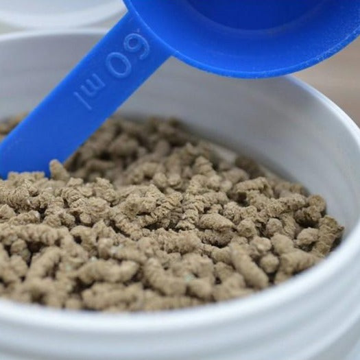 Granulés pour la repousse et la solidité de la corne des chevaux Ravene Biodyne