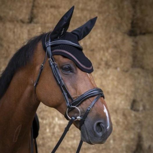 Bonnet de travail pour chevaux Equithème Glitter noir avec bande marron porté