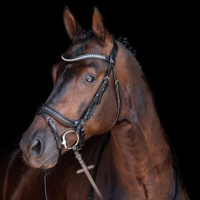 Bridon avec muserolle pull-back pour poneys et chevaux HKM Anatomic Crystal noir porté