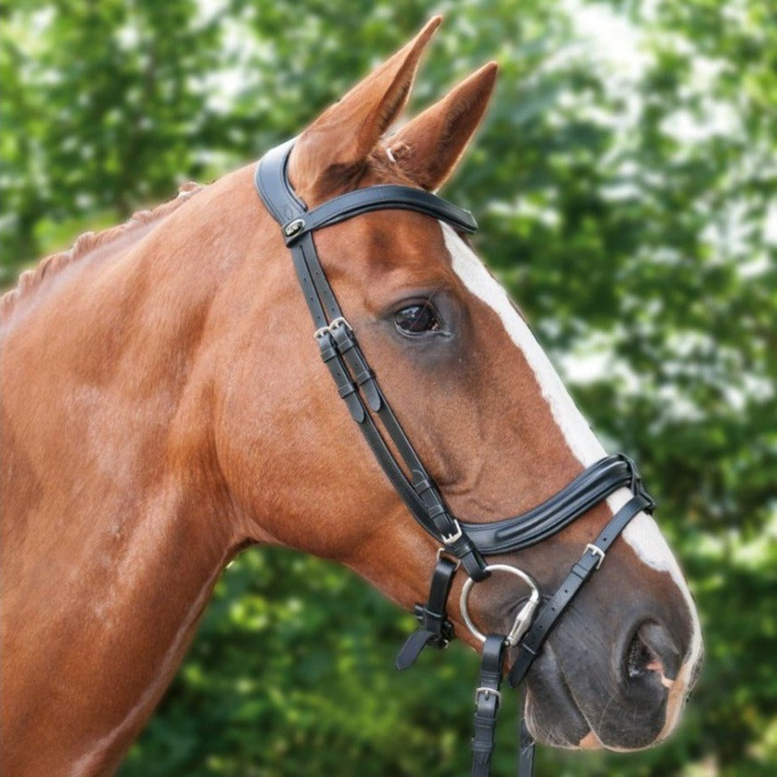 Bridon avec muserolle pull-back pour poneys et chevaux HKM Anatomic noir porté