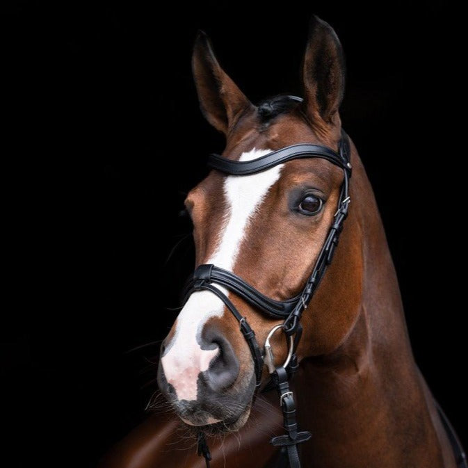 Bridon avec muserolle pull-back pour poneys et chevaux HKM Anatomic noir porté