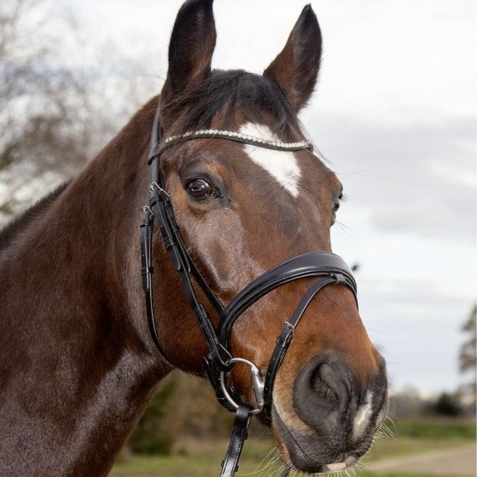Bridon avec muserolle pull-back pour poneys et chevaux HKM Melinda Crystal noir porté