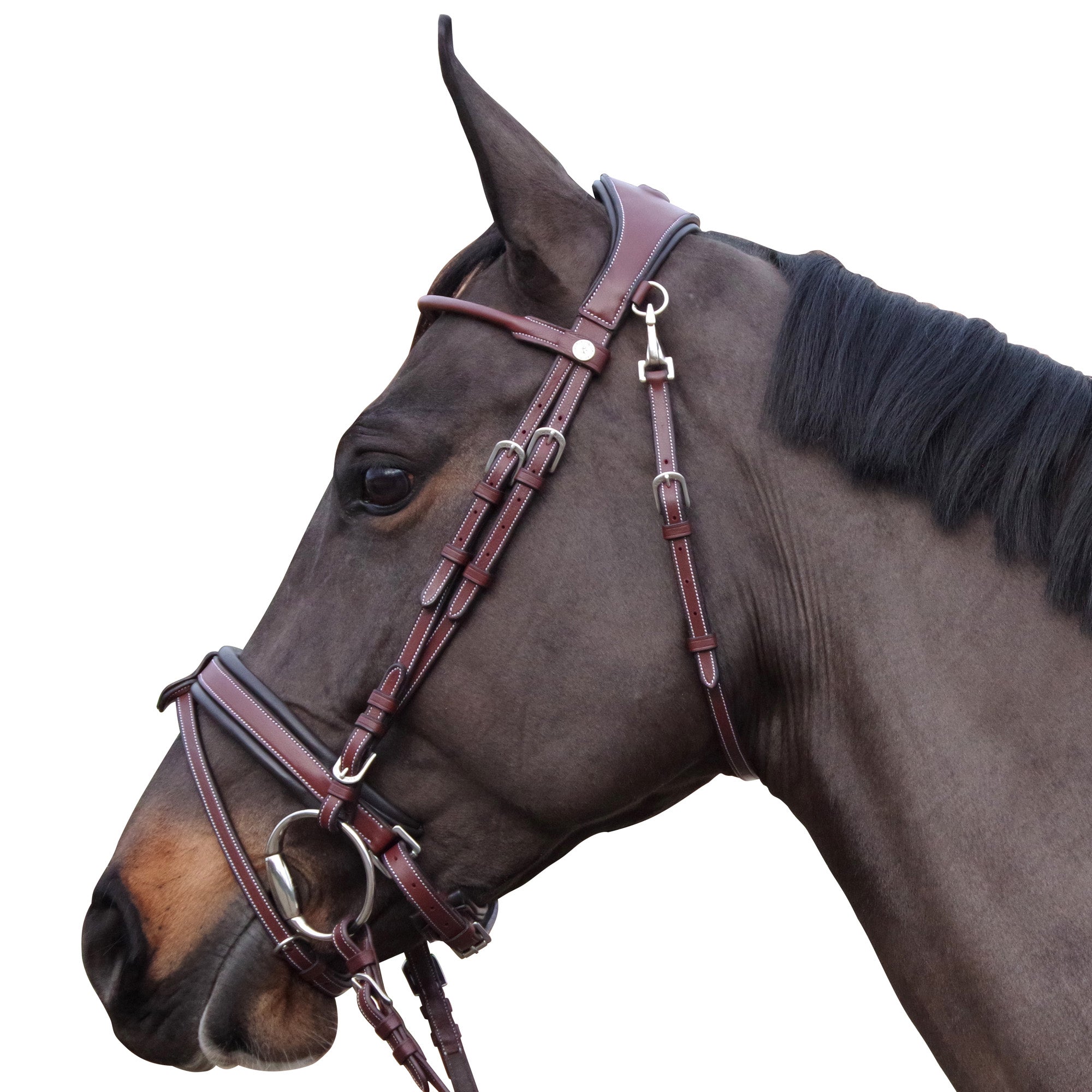 Bridon avec muserolle pull back pour poneys et chevaux Flags and Cup Madrid marron porté