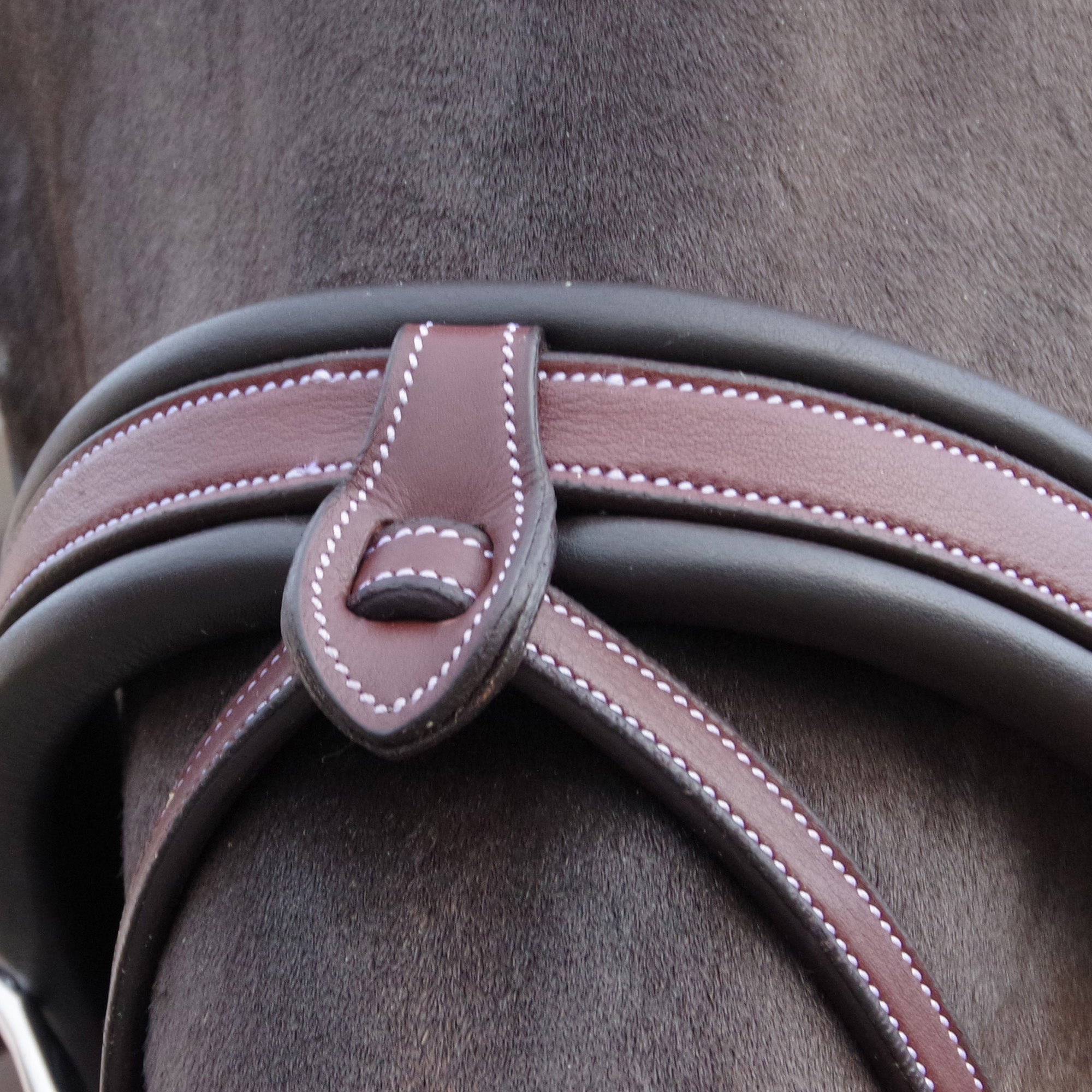 Bridon avec muserolle pull back pour poneys et chevaux Flags and Cup Madrid marron porté détail