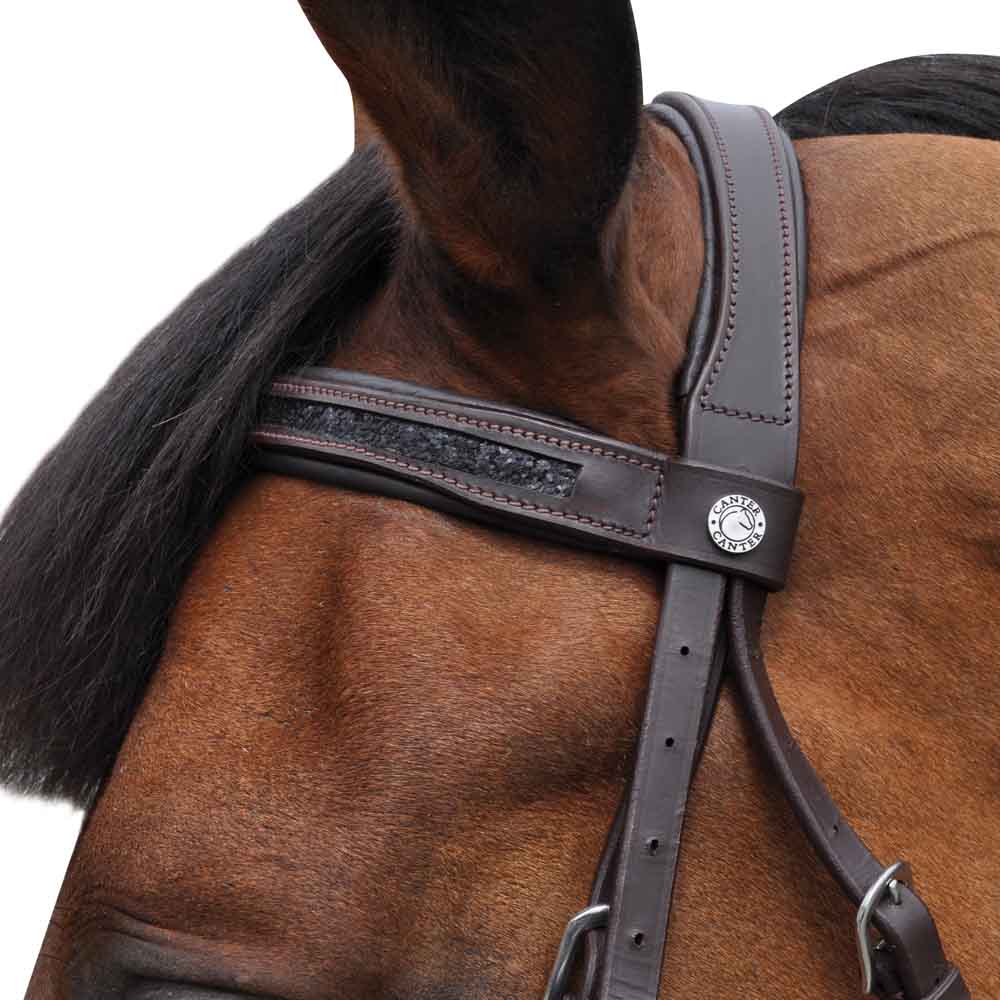 Bridon en cuir avec muserolle combinée pour poneys et chevaux Canter Black Strass marron détail bande de strass sur la têtière