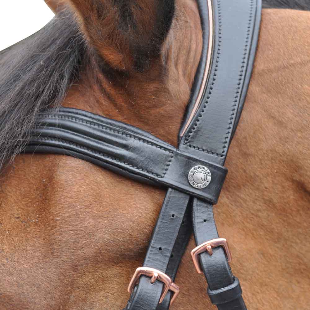 Bridon pour poneys et chevaux Canter Rosegold noir détail bouclerie et têtière