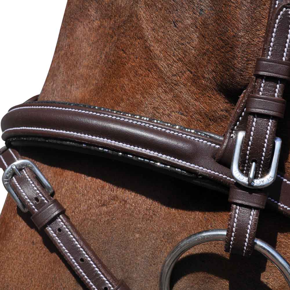 Bridon pour poneys et chevaux Flags&Cup Doha marron détail muserolle