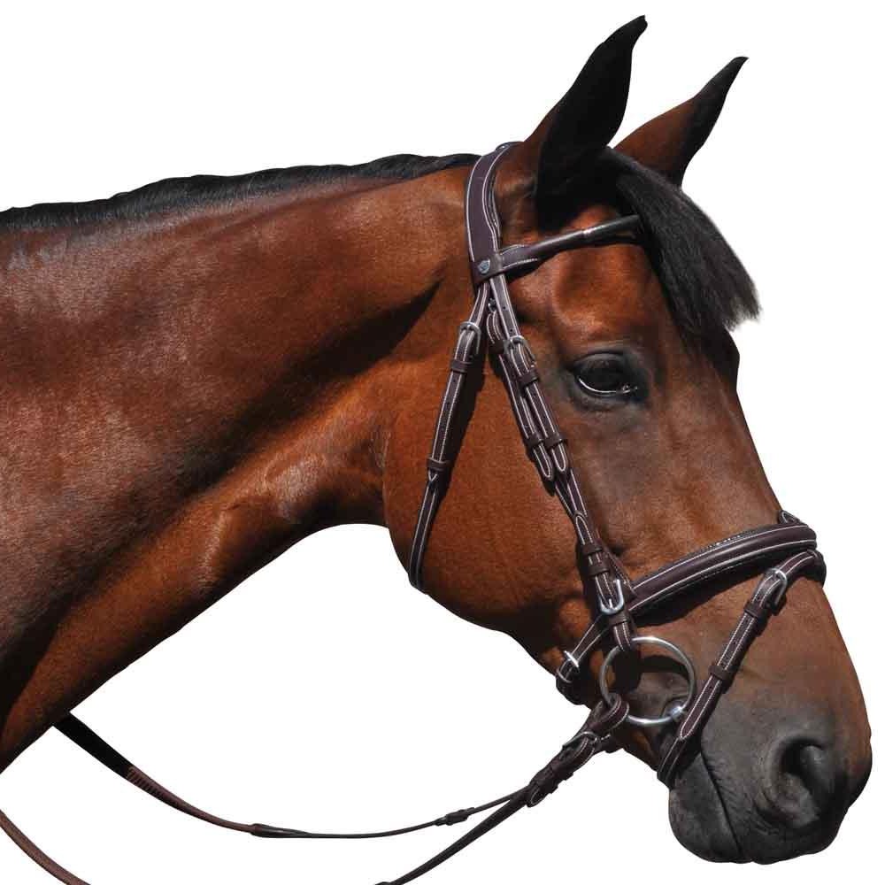 Bridon pour poneys et chevaux Flags&Cup Doha marron porté