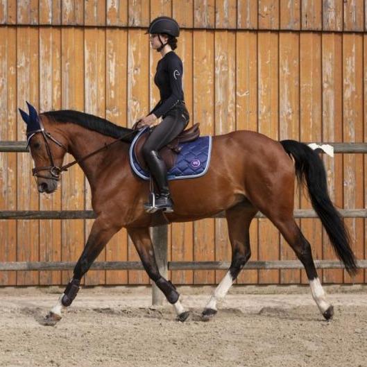 Casque d'équitation pour cavalières Equi-Thème Compet noir porté