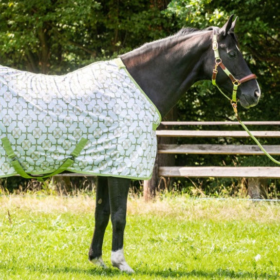 Chemise anti-mouches pour poneys et chevaux HKM vanille et vert pistache