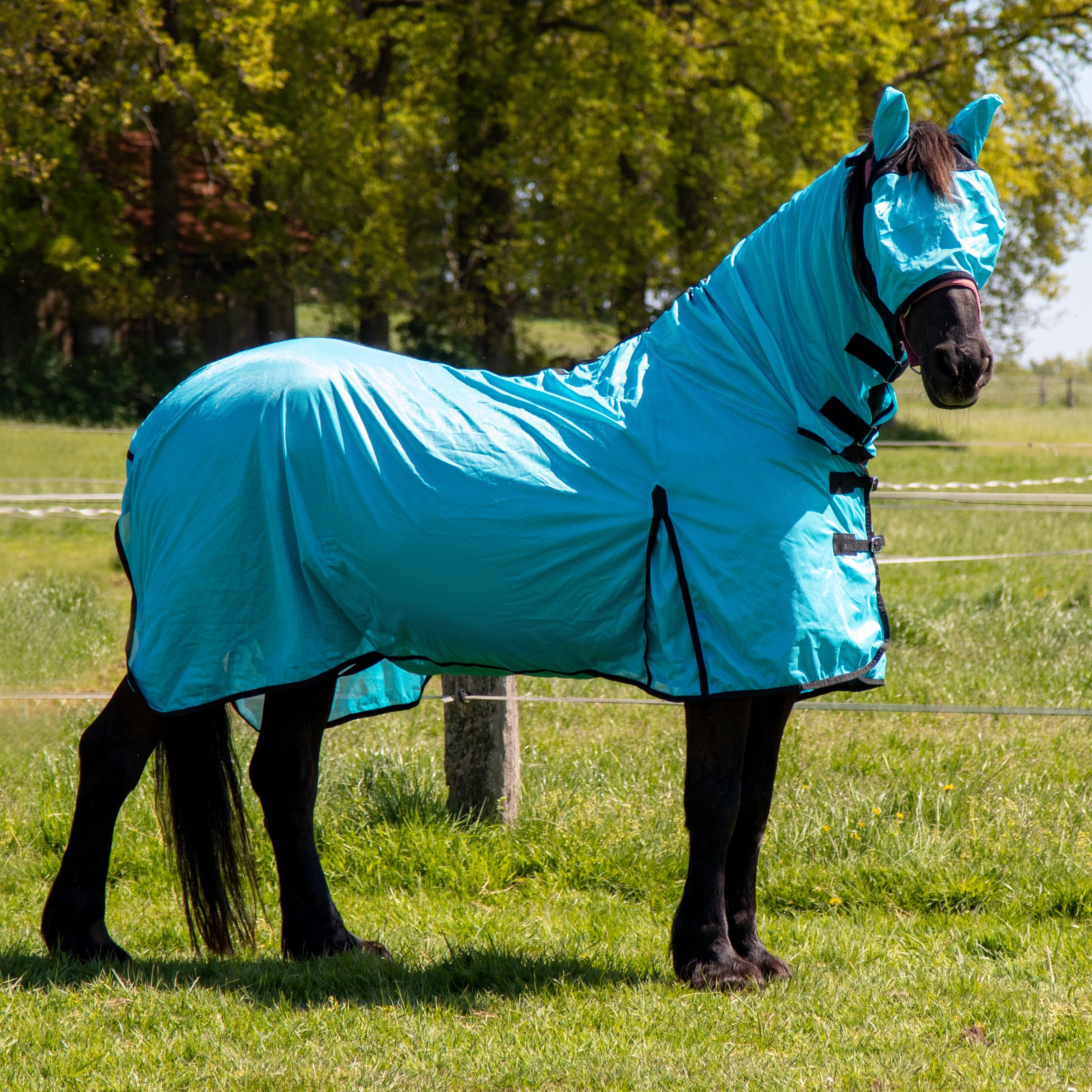 Chemise anti-mouches pour poneys et chevaux HKM Aqua