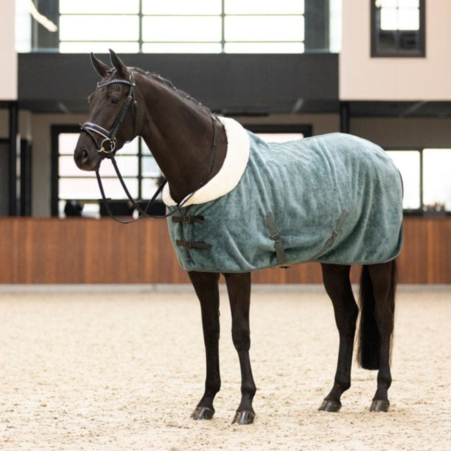 Chemise séchante polaire pour poneys et chevaux Imperial Riding Ambient Galaxy vert sauge