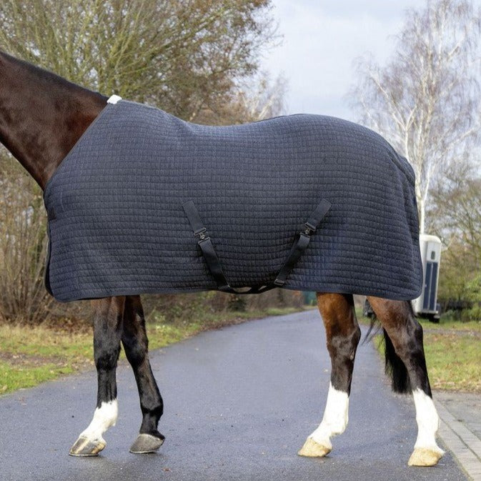 Chemise séchante pour poneys et chevaux HKM Therma Pro anthracite portée