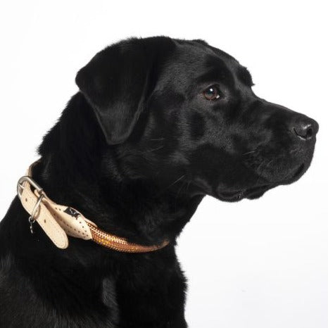 Collier pour chien HKM Anam Cara Corde marron