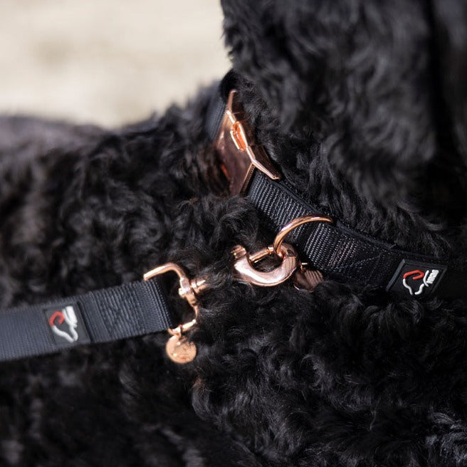 Collier en nylon réglable pour chien HKM Anam Cara noir/rosegold