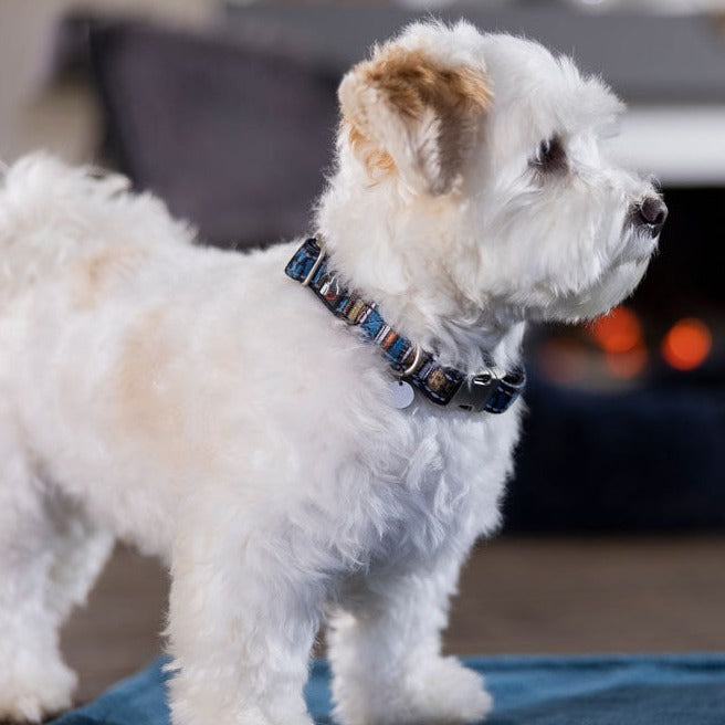 Collier réglable en nylon pour chien HKM Anam Cara Print bleu