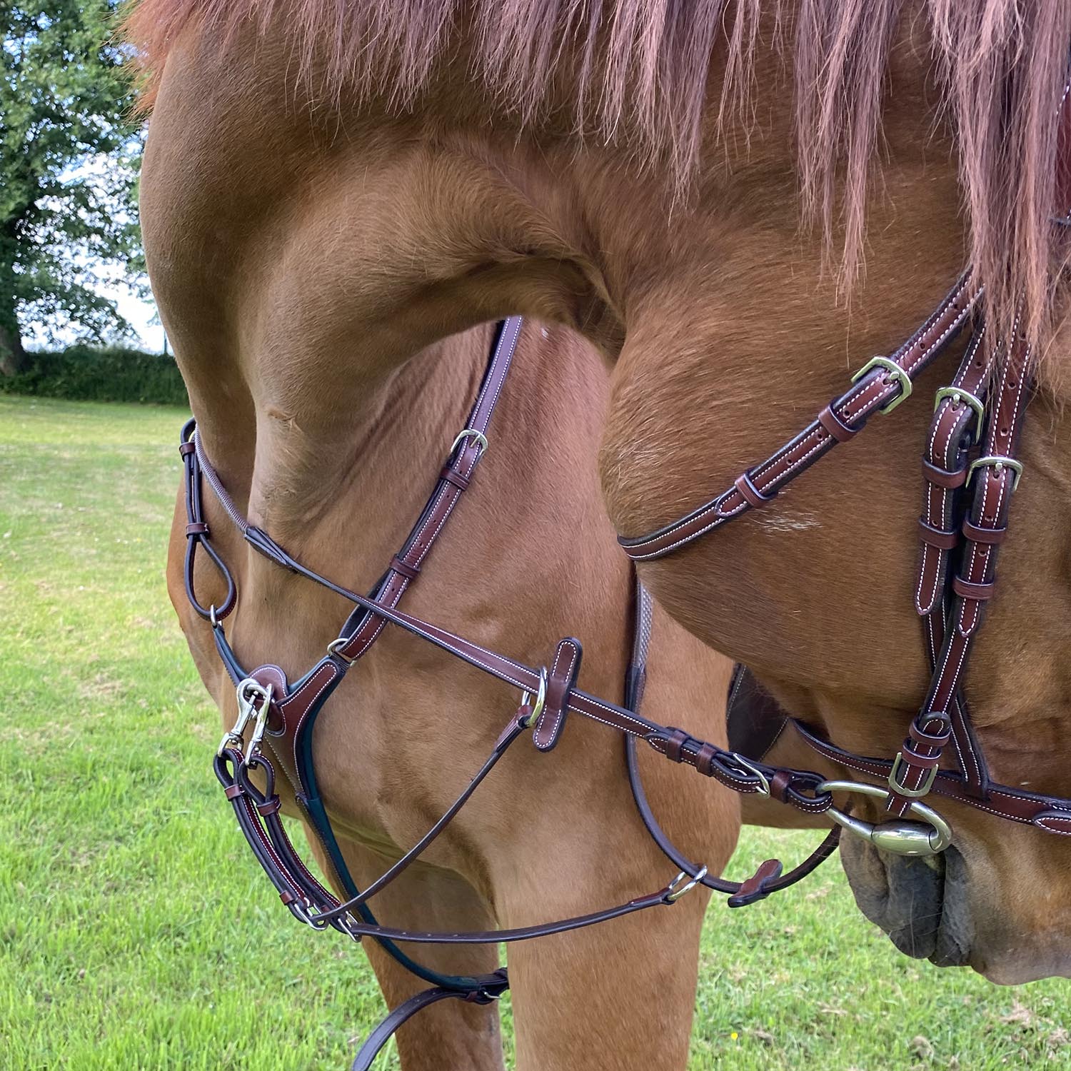 Collier de chasse pour poneys et chevaux Flags&Cup Paris marron et vert