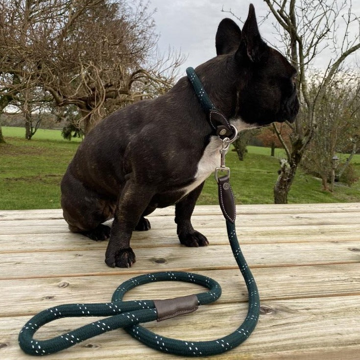 Collier et laisse pour chien Canter Corde vert avec sa laisse assortie
