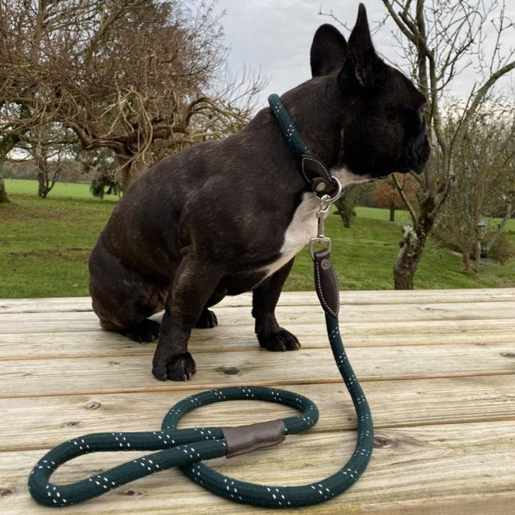 Laisse pour chien Canter Corde verte avec le collier assorti