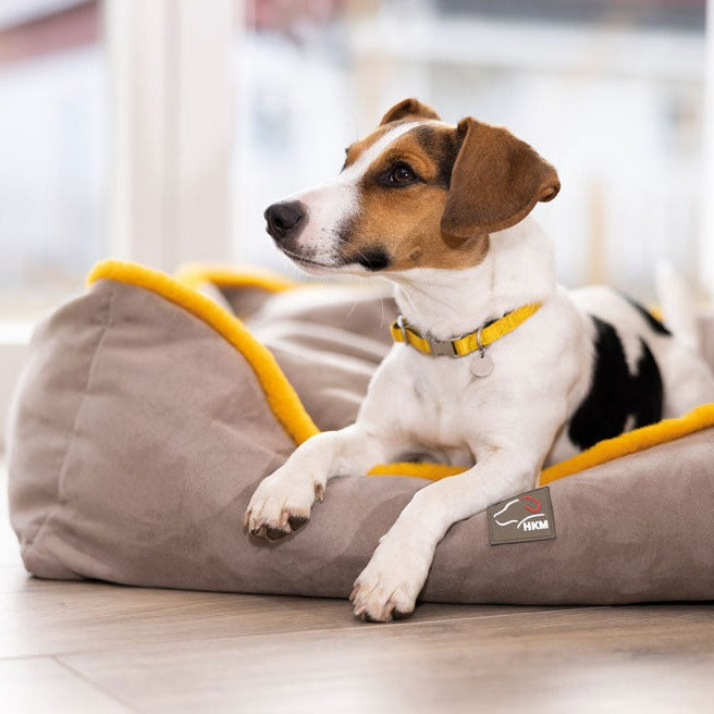 Coussin pour chien HKM Anam Cara taupe et jaune orangé