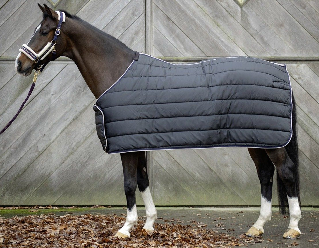 Doublure 300 grs de la couverture d'extérieur imperméable pour poneys et chevaux HKM Kombi