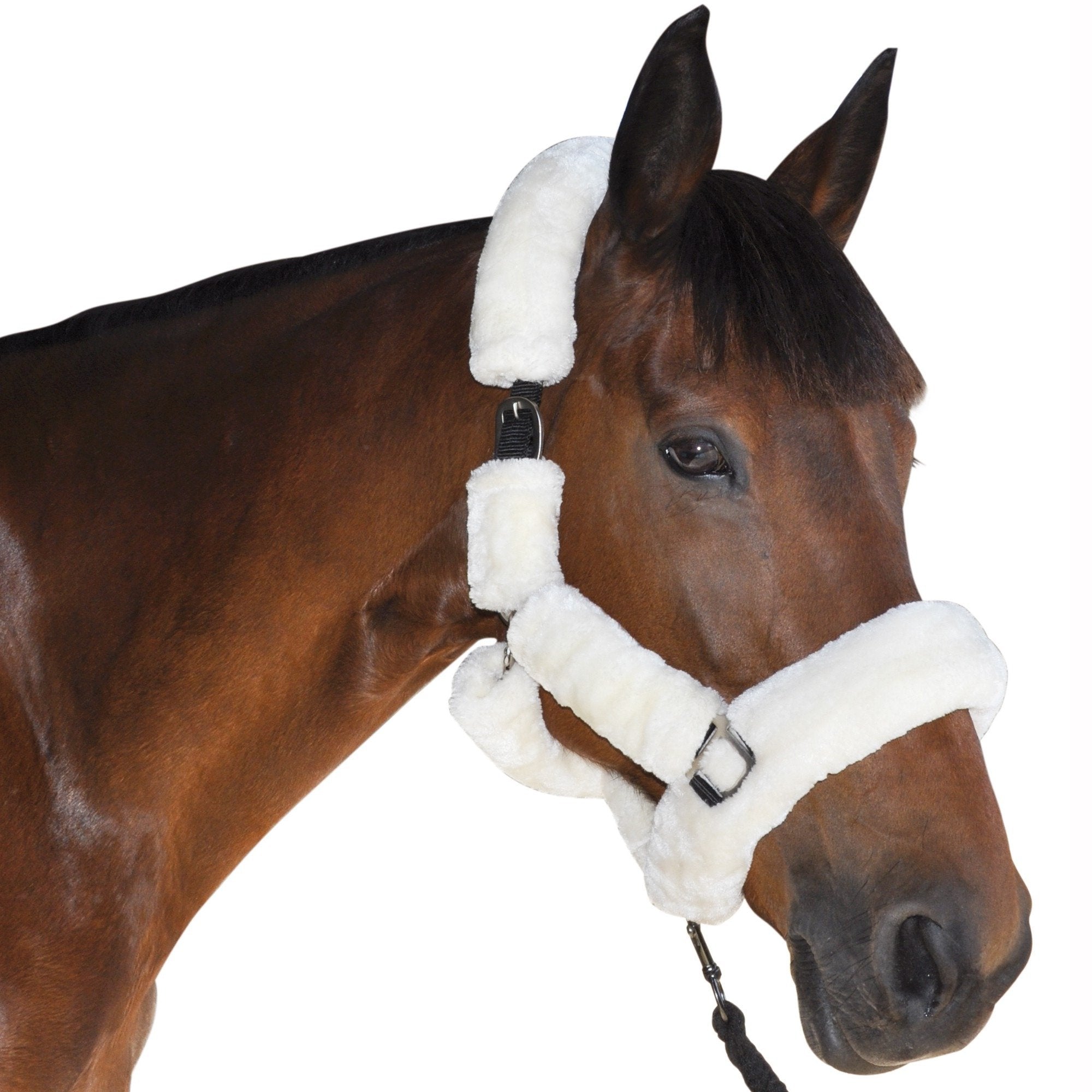 Licol de transport pour poneys et chevaux Canter intégralement doublé de mouton synthétique beige