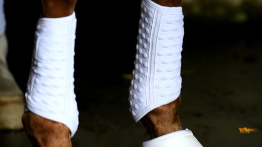 Guêtres de travail pour poneys et chevaux Equilibrium Stretch&Flex simples blanches portées