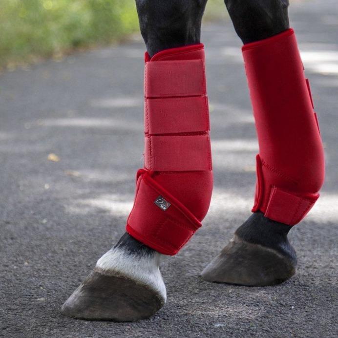 Guêtres de dressage pour poneys et chevaux HKM Colors rouges portées