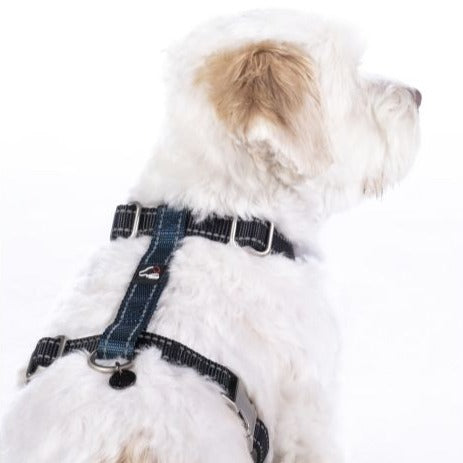 Harnais pour chien HKM Anam Cara bleu