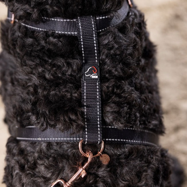 Harnais en nylon pour chien HKM Anam Cara noir et rosegold