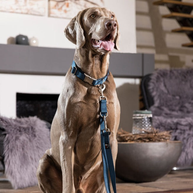 Collier et laisse de dressage en nylon réglable pour chien HKM Anam Cara bleu pétrole